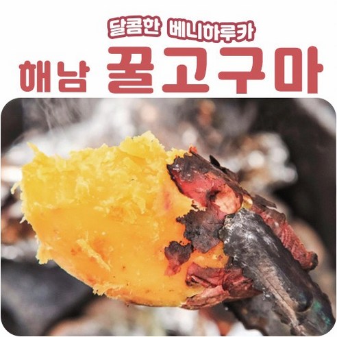달디단 베니하루카 해남 꿀고구마, (비세척) 해남 햇 꿀고구마 중상3kg, 1개
