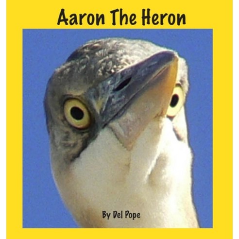 Aaron The Heron Hardcover, Delpo
