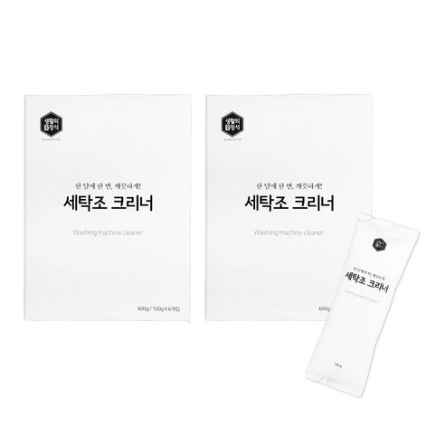 생활의정석 세탁조 크리너 100g 6개입, 2박스