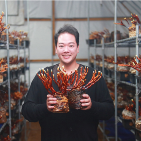 건강과 힐링의 만남, 녹각영지버섯진액