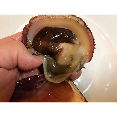 신선도와 품질이 보장된 여수 새조개