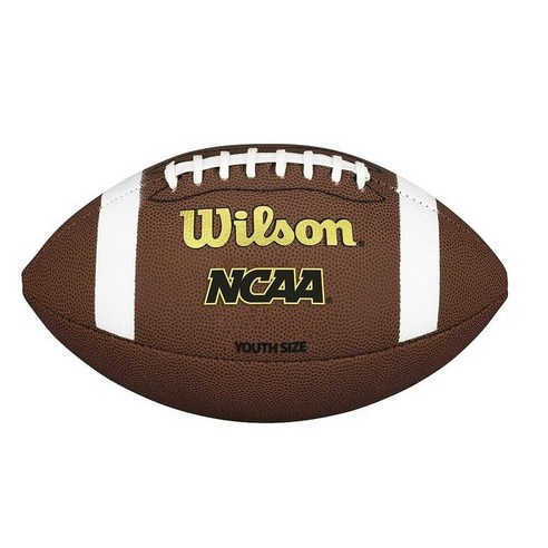 Wilson NCAA 컴포지트 풋볼 - 주니어 사이즈 브라운 121847, Youth