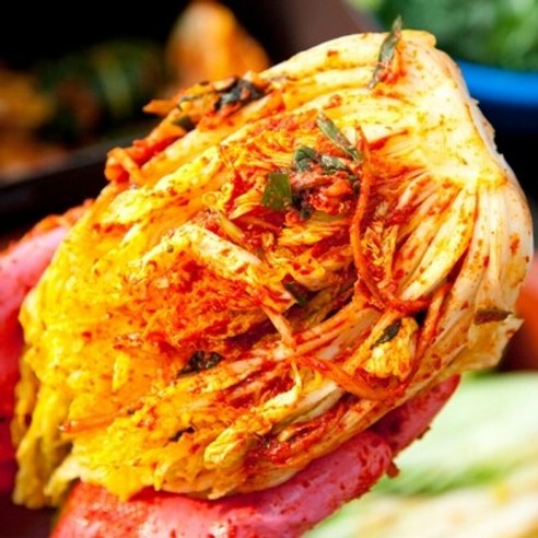 전라도 김치 2kg 전재료 국산100%, 섞박지