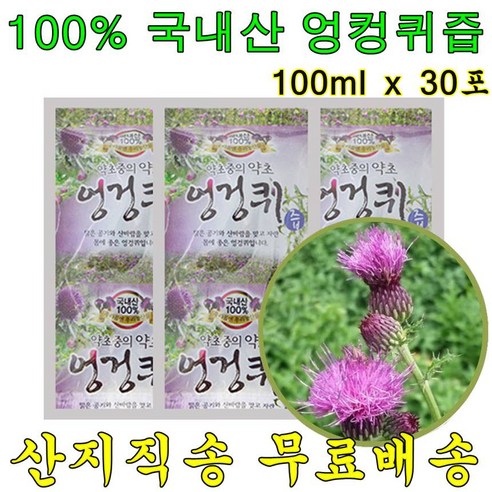 100% 국내산 엉겅퀴 즙 100ml 물 진액 엑기스 밀크씨슬 액기스 흥부부, 30개