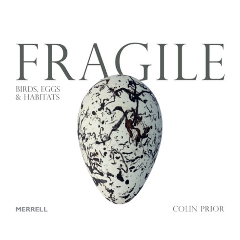 Fragile: Birds Eggs and Habitats Hardcover, Merrell