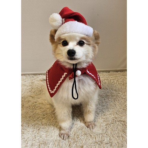 여우달 애견애묘 크리스마스 소품 산타복장 리뷰 강아지크리스마스케이프