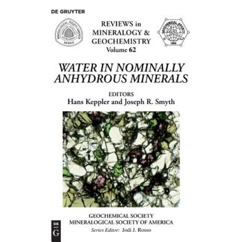 Water in Nominally Anhydrous Minerals Paperback, de Gruyter, English, 9780939950744