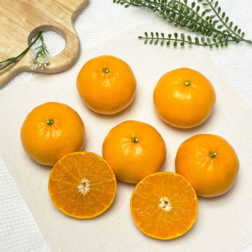 제주 자연의 맛을 담은 프리미엄 천혜향 선물세트