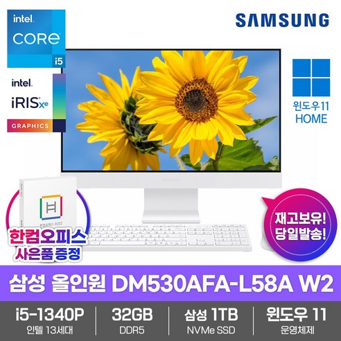 삼성전자 일체형PC 올인원 DM530AFA-L58A W2 32GB램/SSD1TB/13세대i5/Win11/한컴오피스증정 고성능 업무용 데스크탑, 32GB