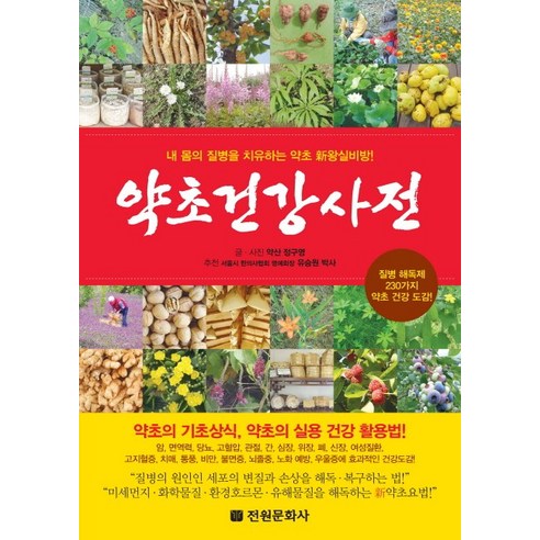 약초건강사전:내 몸의 질병을 치유하는 약초 신왕실비방!, 전원문화사, 정구영
