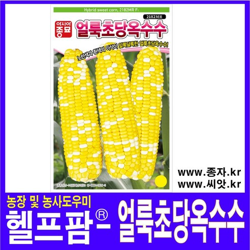 헬프팜 얼룩초당옥수수 100립 씨앗 종자 아시아종묘, 1개