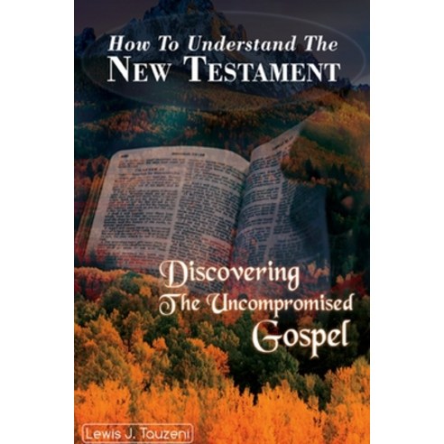 (영문도서) How to understand the New Testament: Discovering The uncompromised Gospel Paperback, Sanl, English, 9780620925969