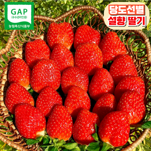 [농장직송] 제철 설향딸기 당일수확, GAP설향딸기 1...., 1개 - 딸기 | 쿠팡