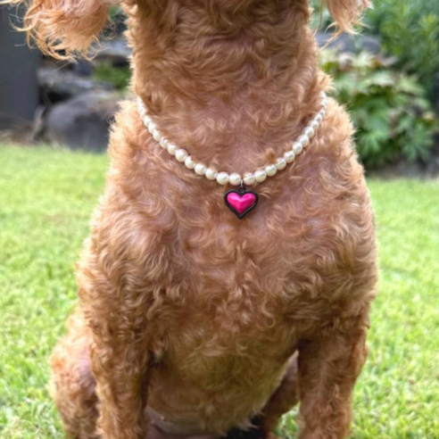 강아지 고양이 진주목걸이 반려견 애완견 목걸이 줄 하트목걸이 2종, 1개, 더블하트 핫핑크