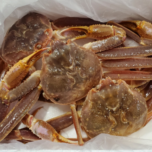 겨울 바다의 선물, 활대게의 풍요로운 맛과 감동을 만나다 러시아활대게