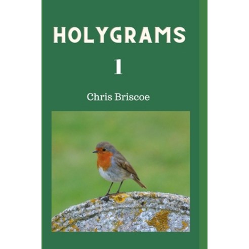 (영문도서) Holygrams 1 Paperback, Blurb, English, 9781006788215