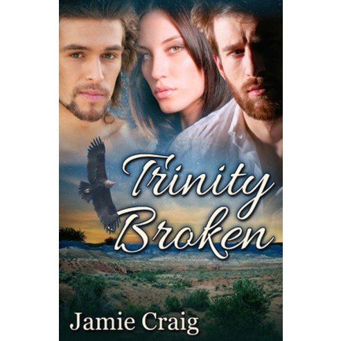 Trinity Broken Paperback, Independently Published, English, 9798702574868