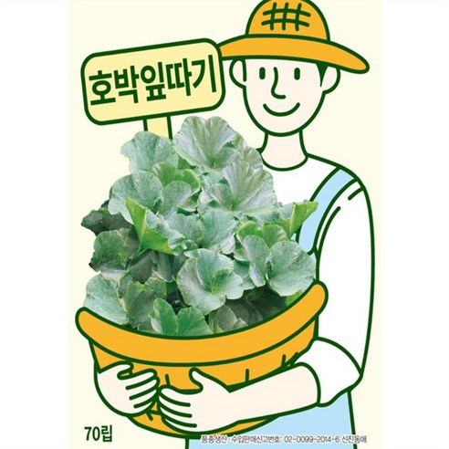 호박씨앗종자 70립 호박잎 1개, 보람농자재 호박씨앗종자 70립 호박잎 1개, 보람농자재