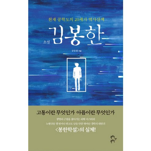 소설 김봉한:천재공학도의 20세기 역사산책