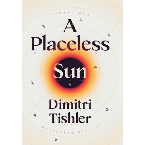 (영문도서) A Placeless Sun: Toward Our Configured Destiny Hardcover, Dimitri Tishler, English, 9780646879314