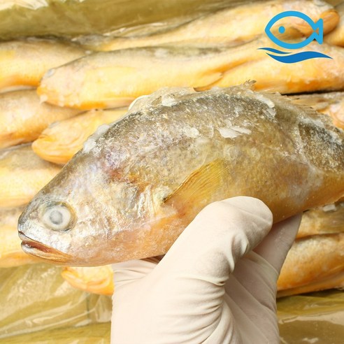 바다더해 도매 부세 조기 19-20미 3.4kg 1박스 부새, 1개