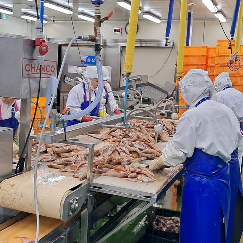 풍부한 단백질과 풍미의 신선한 반건조 볼락 뽈락