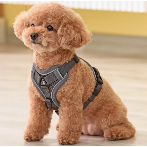 애완견 소형견 하네스 목줄 산책, 그레이, 1개