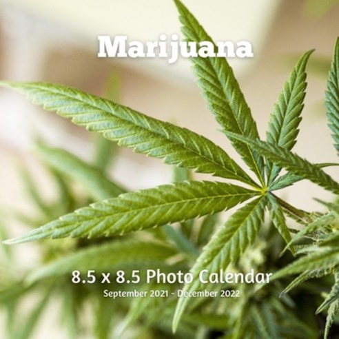 Marijuana 8.5 x 8.5 Calendar September 2021 -December 2022: Cannabis Photos Monthly Calendar with U.... Paperback, Independently Published, English, 9798737083526