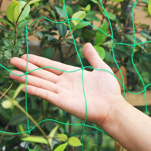 덩굴 식물 키우기, 이제 그물망 하나로 간편하게!