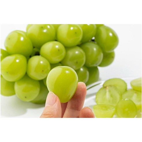 해따온의 특등급 영천 망고포도, 달콤한 샤인머스켓 맛을 즐기세요