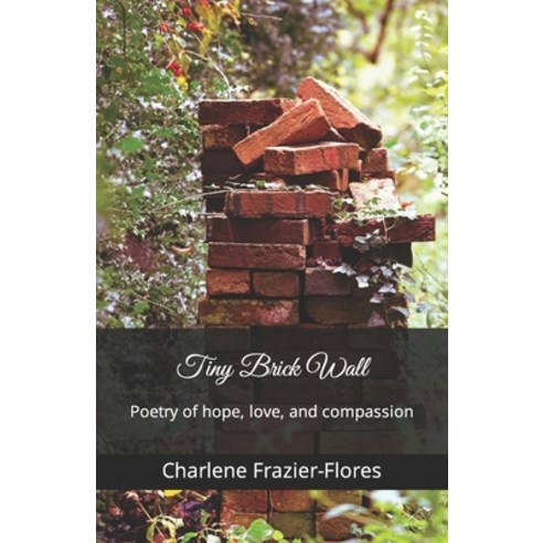 (영문도서) Tiny Brick Wall: Poetry of hope love and compassion Paperback, Independently Published, English, 9798789453926