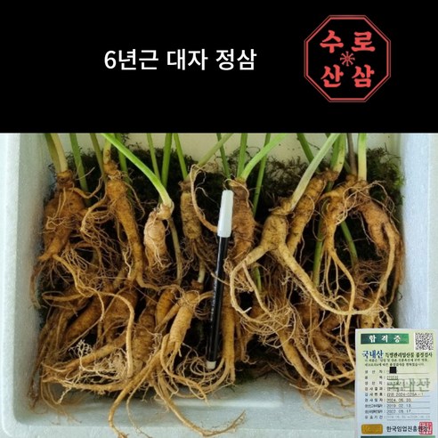 [수로] 국내산 산삼 6년 대자, 20개