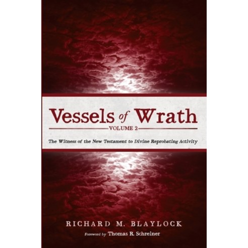 (영문도서) Vessels of Wrath Volume 2 Paperback, Pickwick Publications, English, 9781666763133