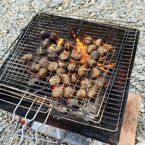 풍부한 맛과 영양으로 가득 찬 최상급 품질의 햇 약단밤