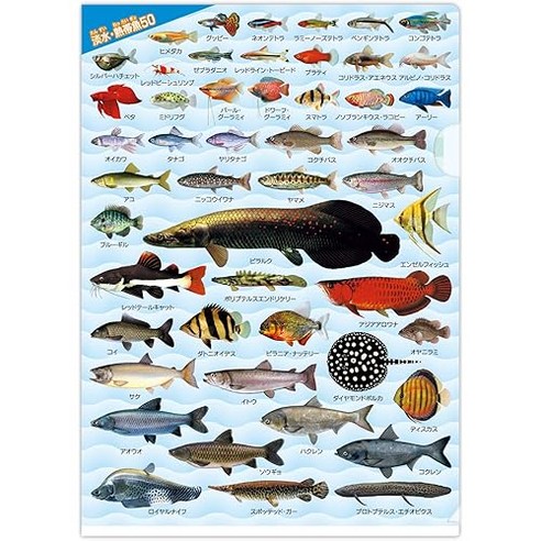 The Access Clear File Freshwater and Tropical Fish Compendium Aquarium ...