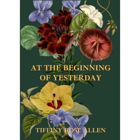 (영문도서) At The Beginning Of Yesterday Paperback, Indie Earth Publishing, English, 9798986989167