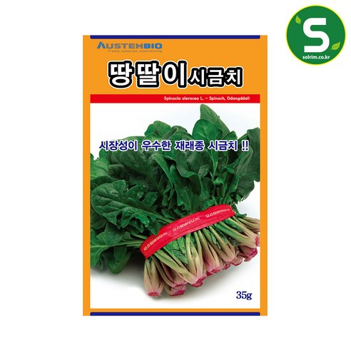 시금치씨앗 땅딸이시금치 35g 재래종 내한성 다수확, 1개