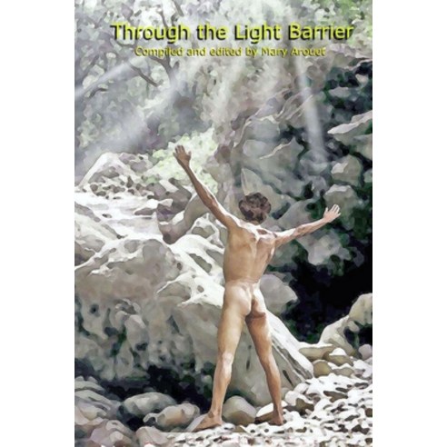 (영문도서) Through the Light Barrier: The meaning of life the universe and everything Paperback, Independently Published, English, 9781983258329