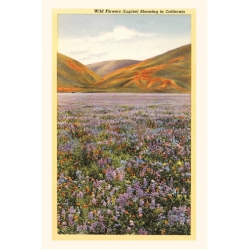 (영문도서) The Vintage Journal Wildflowers in California Paperback, Found Image Press, English, 9781648115042