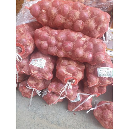 국내산 적양파 자색양파 햇양파 빨간 적색 대용량, 3kg