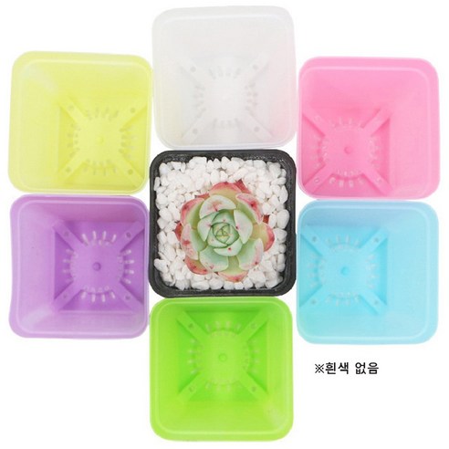 세련된 파스텔 미니 화분으로 집을 밝히고 활기찬 분위기를 연출하세요.