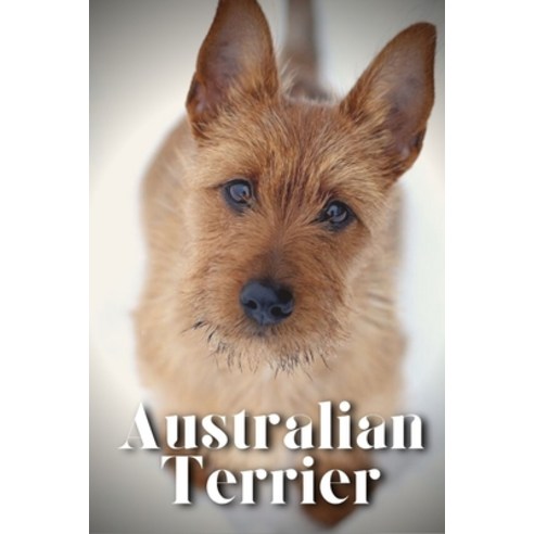 (영문도서) Australian Terrier: How to train your dog and raise from puppy correctly Paperback, Independently Published, English, 9798864925751
