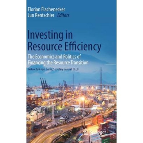 (영문도서) Investing in Resource Efficiency: The Economics and Politics of Financing the Resource Transi... Hardcover, Springer, English, 9783319788661