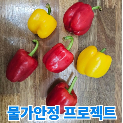 초특가 청담농수산 정품 혼합 파프리카, 5kg, 1개