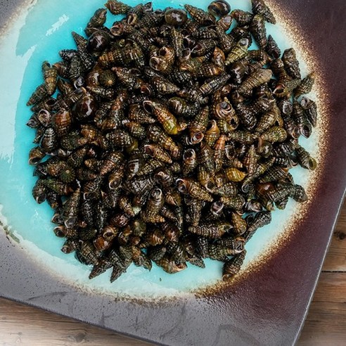 청정 자연의 숨결, 다슬기로 활력 되찾기!