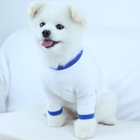 럭키페터 링거 강아지 옷 소형견 대형견 티셔츠 화이트 시리즈, 화이트/블루, 2개