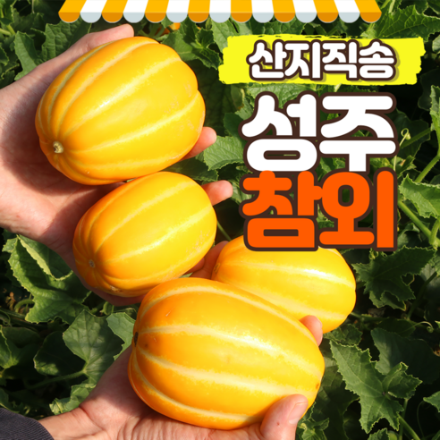 푸릇푸릇 성주참외 꿀참외 3kg 5kg 10kg, 참외 10kg