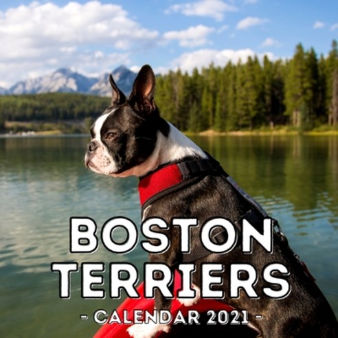 (영문도서) Boston Terriers Calendar 2021: 16-Month Calendar Cute Gift Idea For Boston Terrier Lovers Me... Paperback, Independently Published, English, 9798502057592