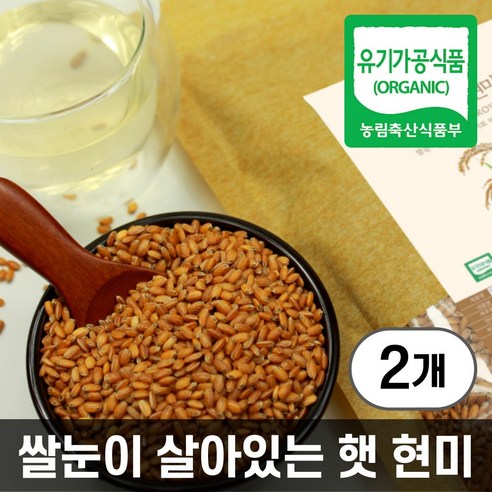 2024년산 햇 현미 국산 저온로스팅 볶은 유기농 현미차, 900g, 2개, 1개입