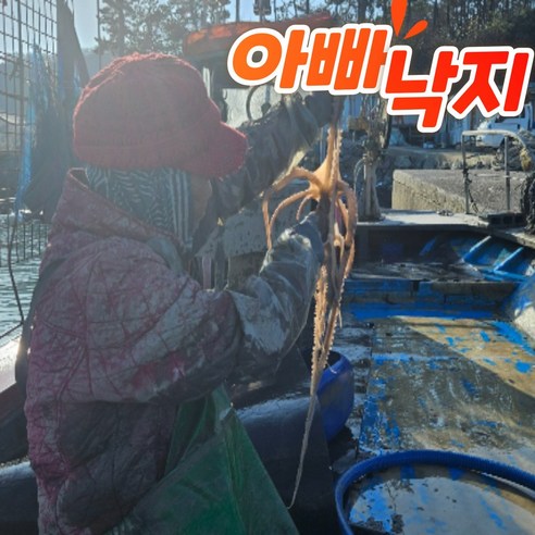 싱싱하고 살아있는 낙지의 맛있는 경험